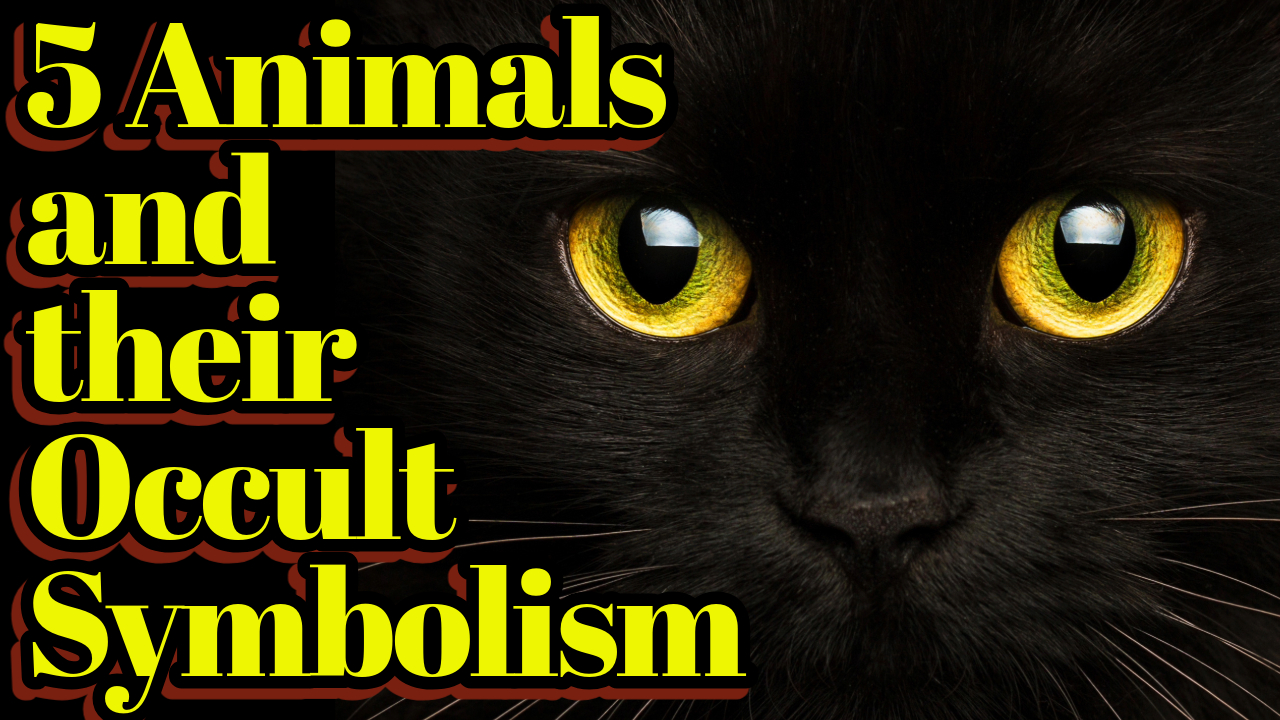 5 Animals and their Occult Symbolism